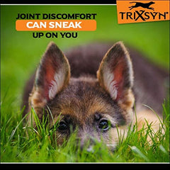 TRIXSYN Canine All Natural Hip and Joint Care for Dogs- Enhance Joint Mobility and Cartilage Function Live Healthier and Happier Patented MHB3 Hylauronan Liquid Formula