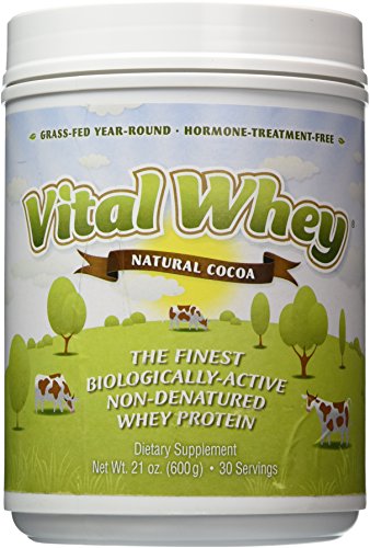 Well Wisdom - Vital Whey Protein Natural Cocoa Flavor 600g (21oz) [Health and Beauty]